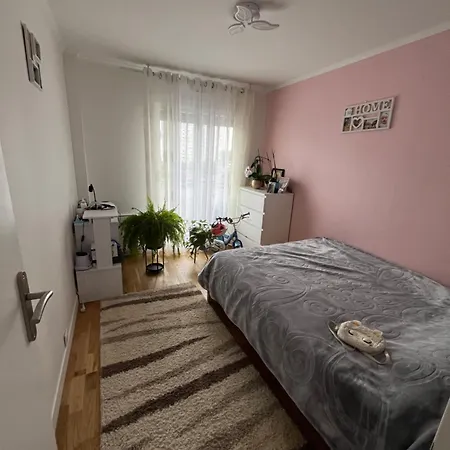 Flat شيل